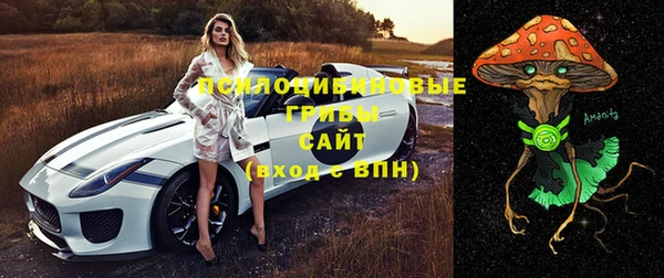 mdpv Володарск