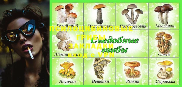 mdpv Волоколамск