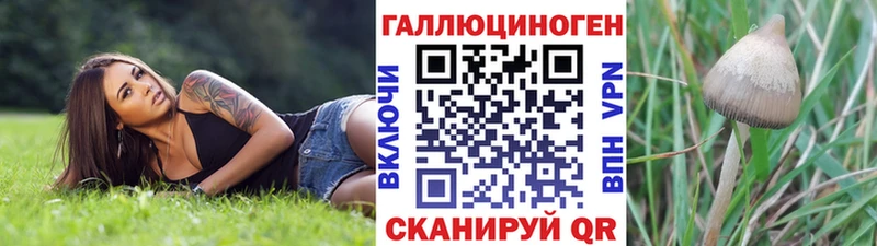 Галлюциногенные грибы MAGIC MUSHROOMS  наркота  Томск 